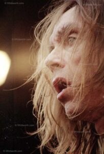 © Whittworth.com Iggy Pop at the V98 festival, Temple Newsam, Leeds. Photo by David Whittworth.