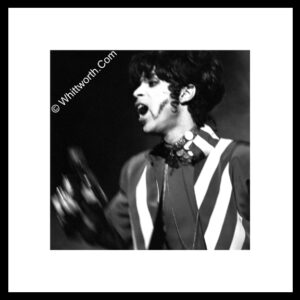 Sheffield Arena. Monday 2nd August 1993. Prince and the New Power Generation - Act II
